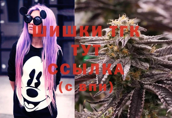 гидропоника Магас