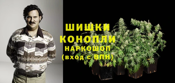 гидропоника Магас