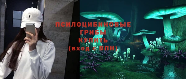 гидропоника Магас
