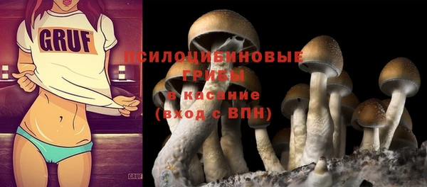 гидропоника Ачинск